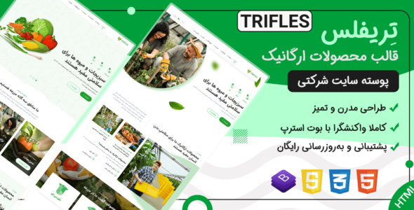 نمونه کارها
