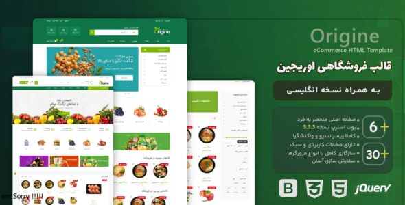 نمونه کارها